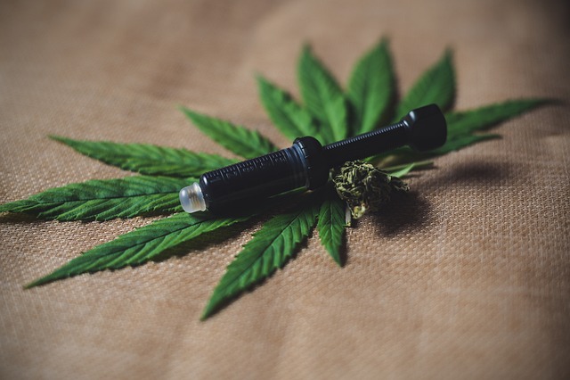 Lovlig og økologisk: Formula swiss’ cbd olie erobrer danmark